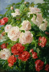Rosa Rosen